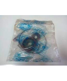 KIT GUARNIZIONE MOTORE LIBERTY 50