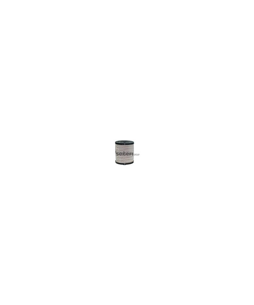 FA5993ECO FILTRI CARBURANTE  C5