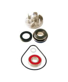 KIT REVISIONE POMPA ACQUA PANTHEON 125  150 2T