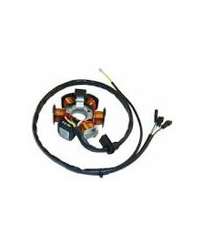 STATORE APRILIA 50 AF1 RED ROSE TUAREG