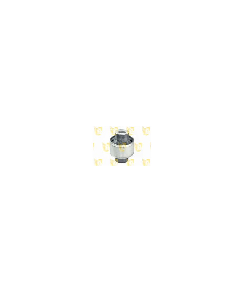 SILENTBLOCK POST. BRACCIO ANT. MEGANE IV DX-SX