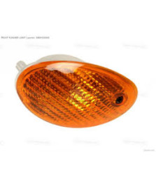 INDICATORE ANT.NEOS YN 50 100 OVETTO