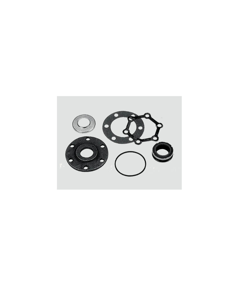 PARAOLIO A 6 FORI YORK 206-209-210