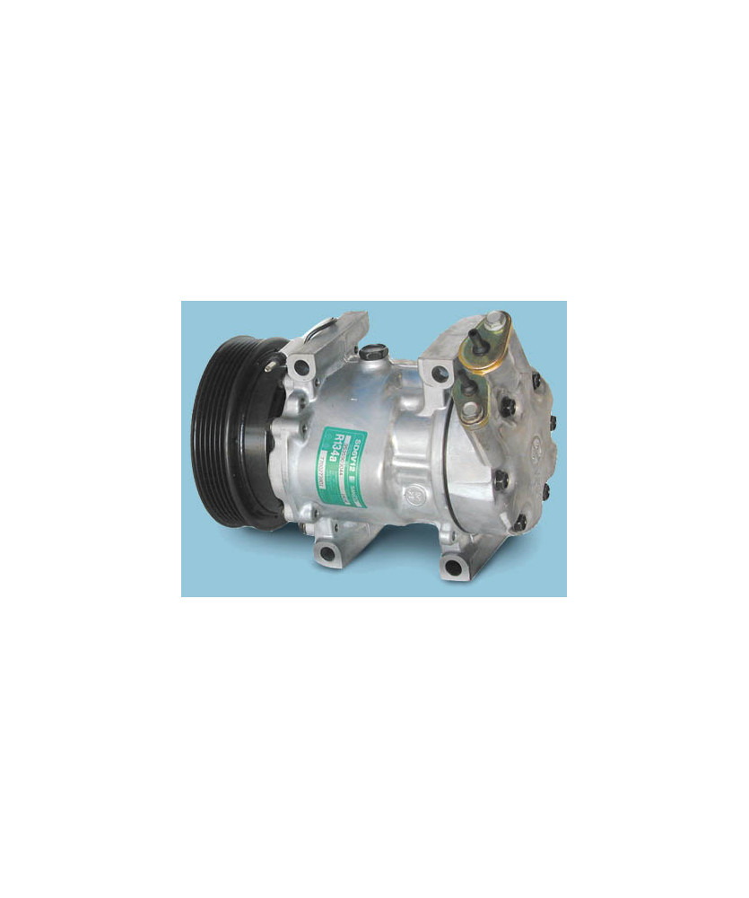 COMPRESS.SD6V12-1416  CLIO-NE