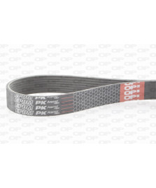 CINGHIA POLY-V 8PK1225