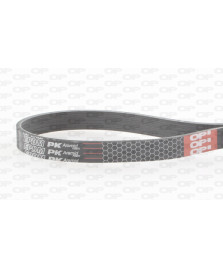 CINGHIA POLY-V 6PK2065