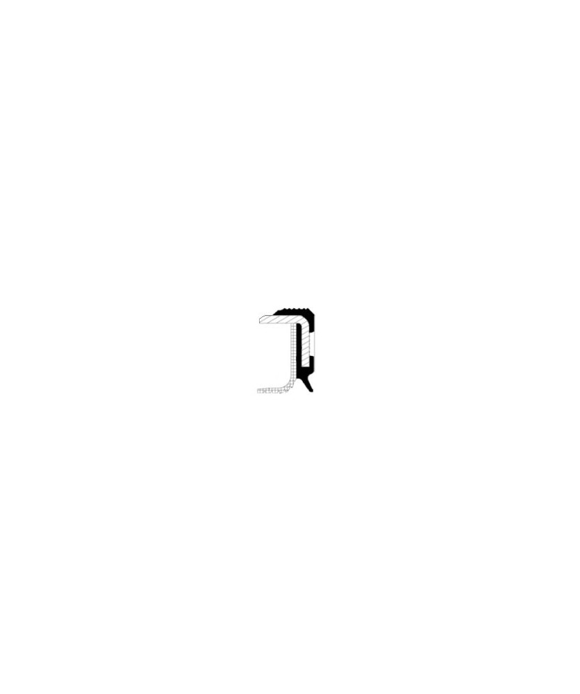 PARAOLIO B1BAPTSLRDX7 55X68X8 TFE PARAOLIO B1BAPTSLRDX7 55X68X8 TFE