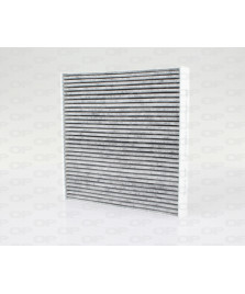 FILTRO ABITOLO  FORTWO II 0.8 1.0