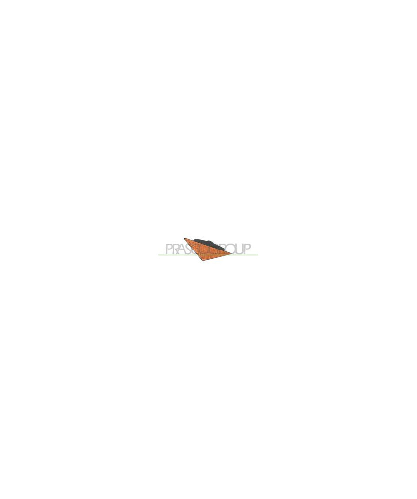 FANALE FRECCIA LATERALE FOCUS 1998