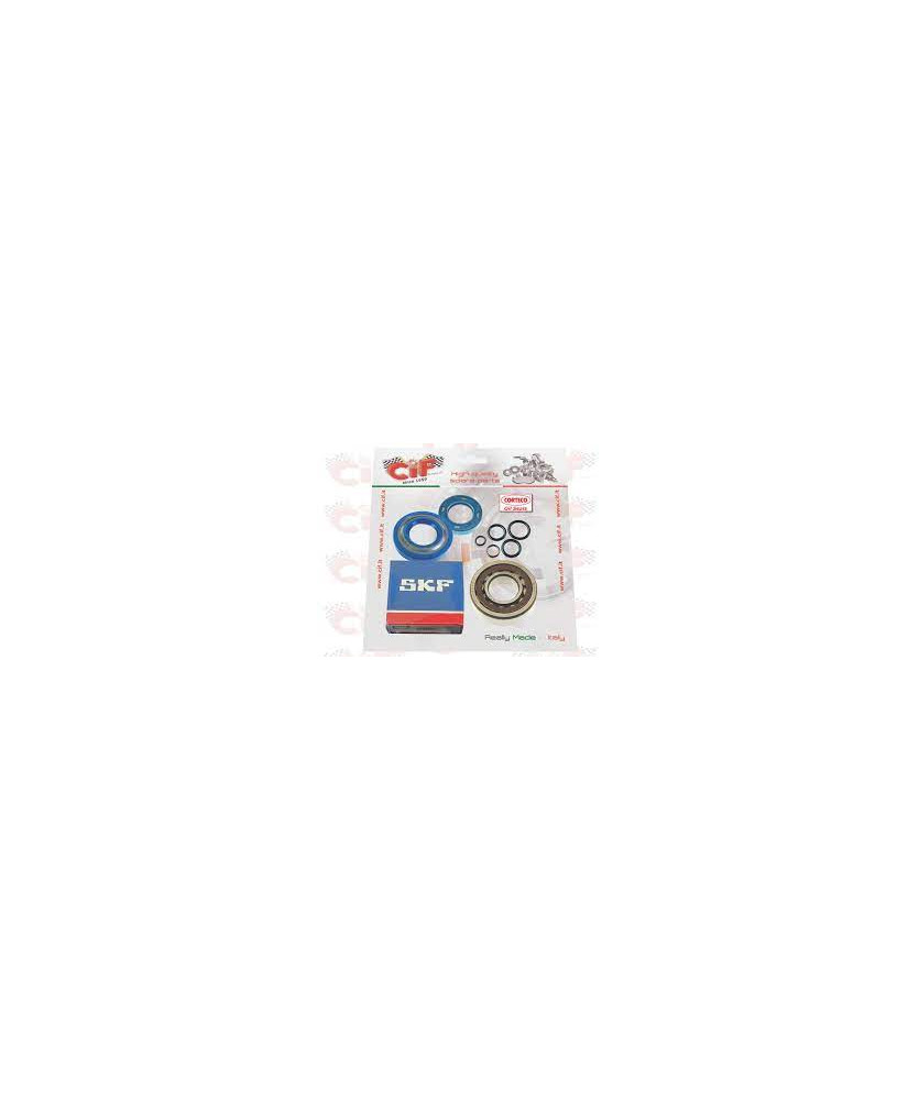 KIT REVISIONE ALBERO MOTORE 125 PRIMAVERET3