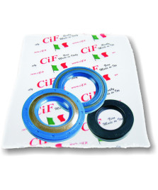 SERIE PARAOLIO MOTORE APE MP