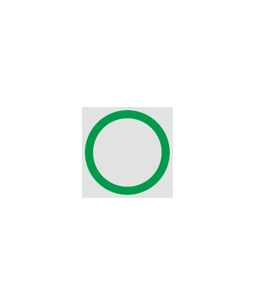 O RING DIAMETRO ESTERNO 24.6MM DIAMETRO INTERNO 19 8MM