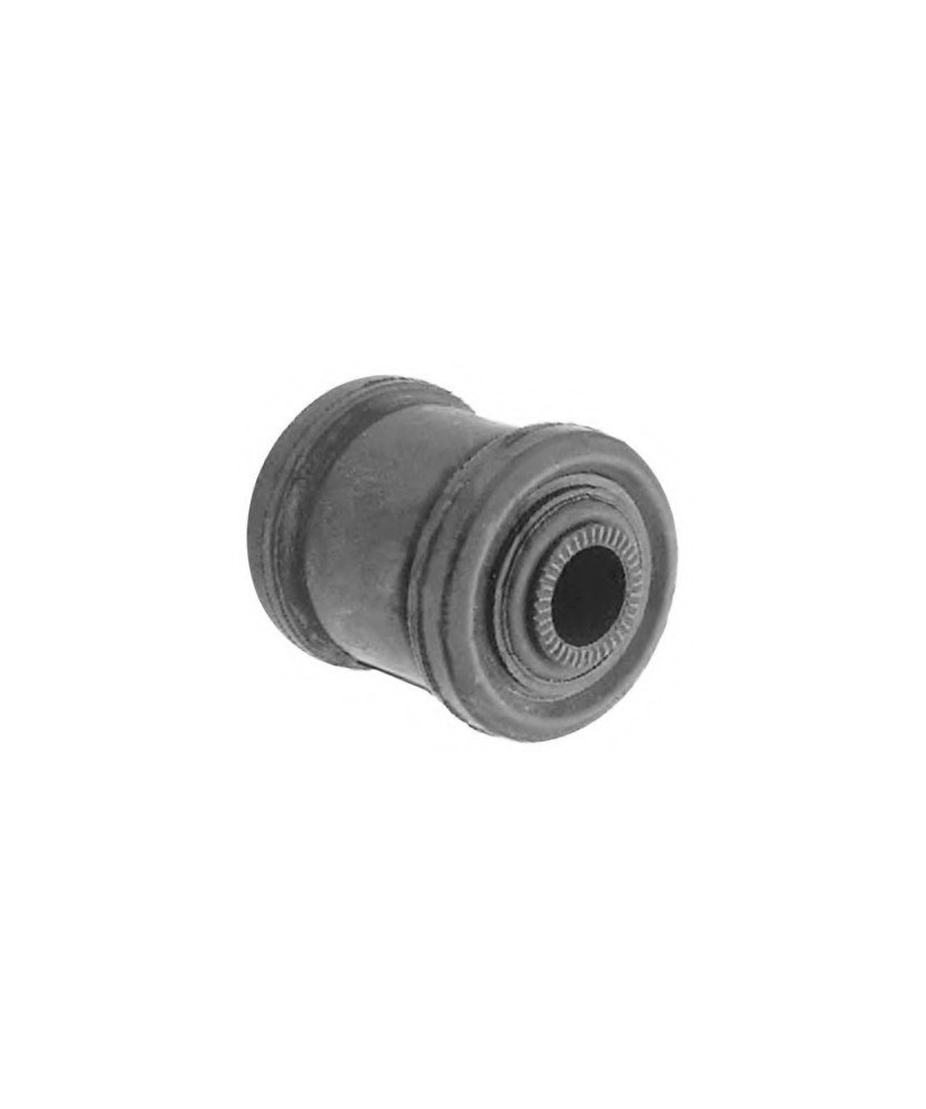 FILTRO ARIA  JUMPER 2.2                  HDI 100