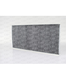 FILTRO ABITACOLO CLASSE A (W169)  CLASSE B