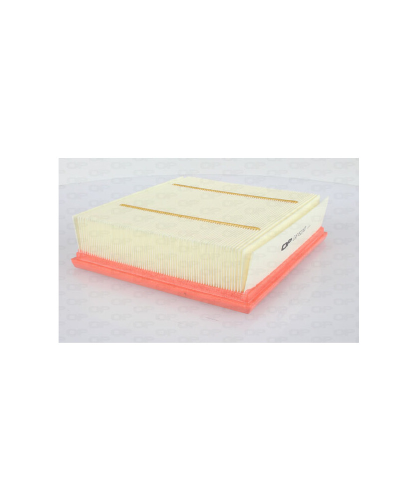 FILTRO ARIA  B (W246) 10/11-