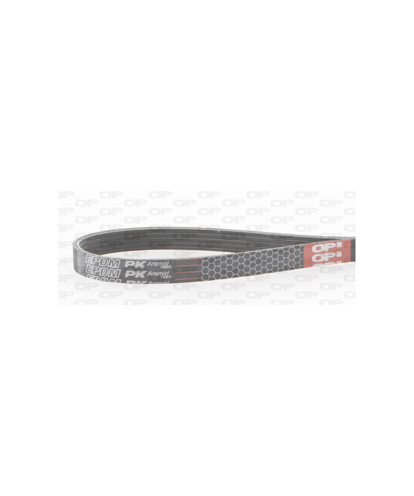 CINGHIA POLY-V 5PK1355