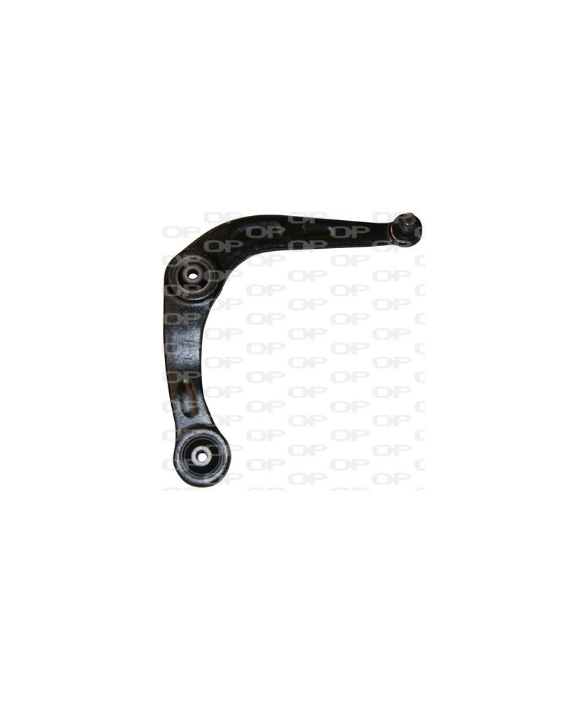 BRACCIO PG 206 DX ANTERIORE DESTRO