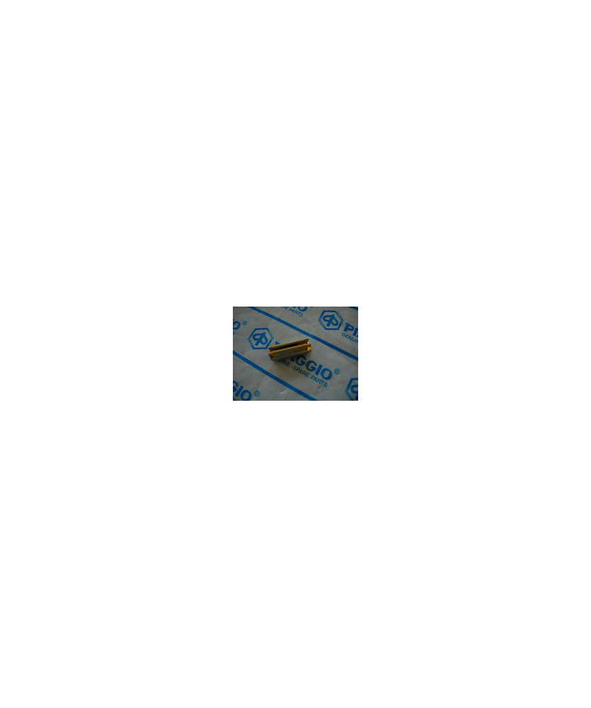 SPINA CERNIERE PORTA APE TM P602 P703 TM