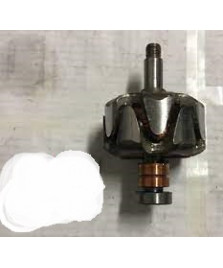 ROTORE ALTERNATORE APE POKER BZ