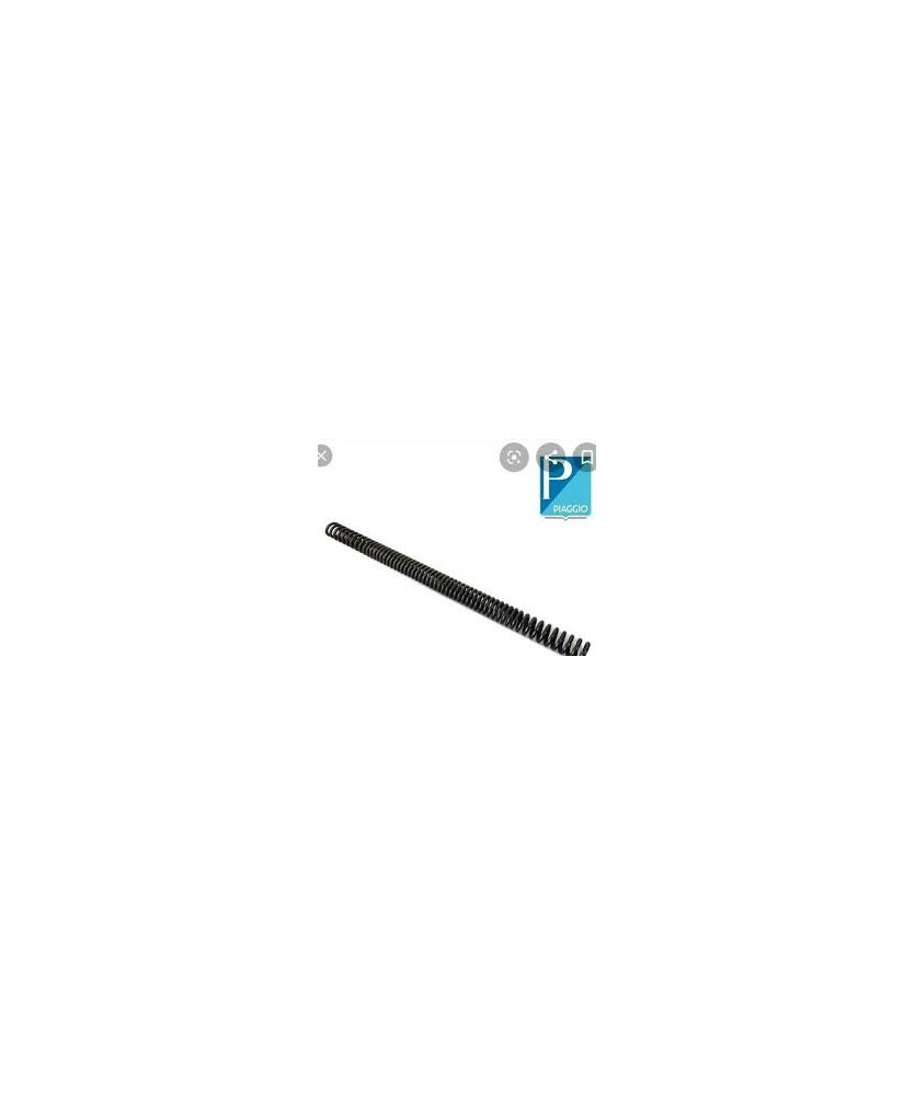 MOLLA SOSPENSIONE ANTERIORE ZIP FIST RID