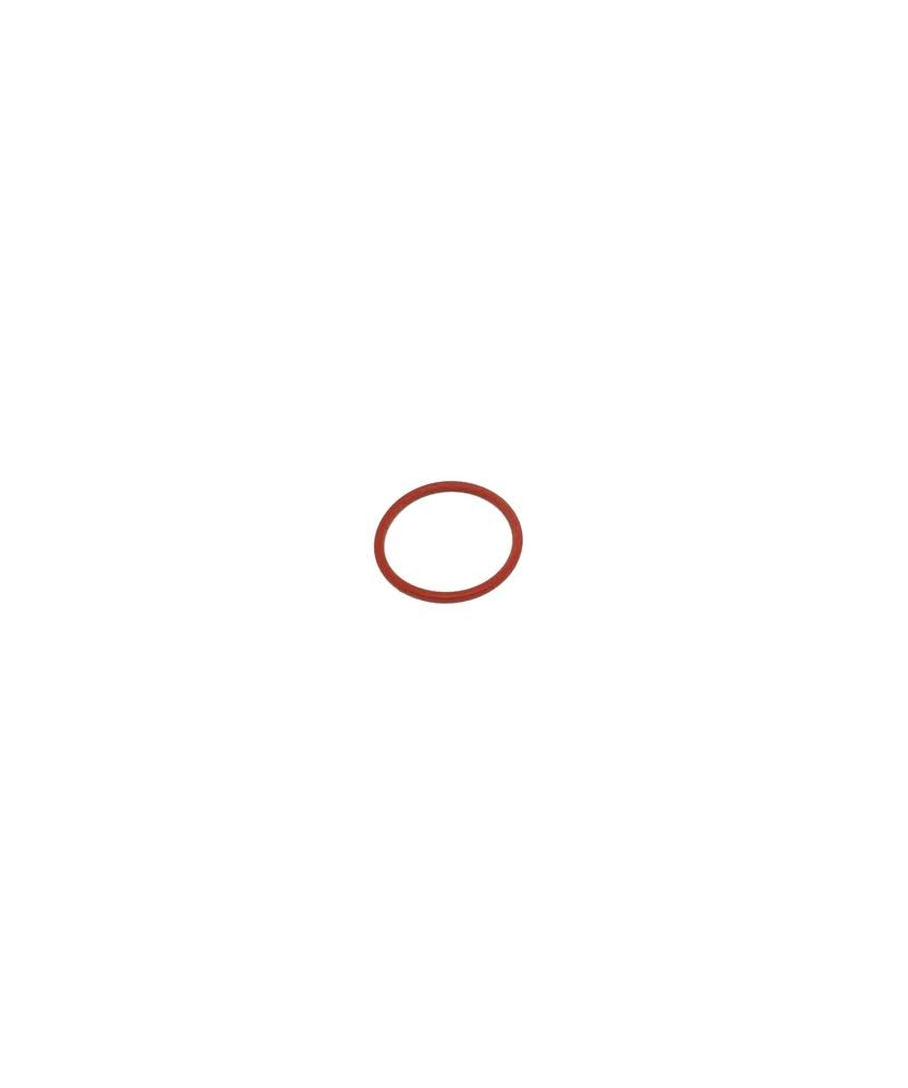 ANELLO ORING TESTA VALVOLE QUARGO PORTER