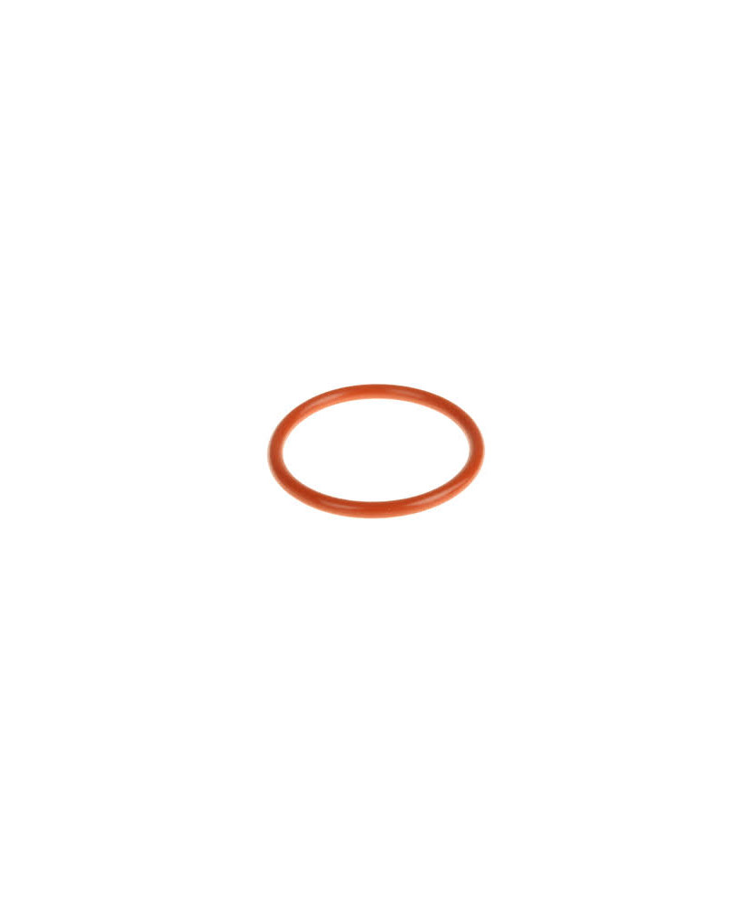 ORING ANELLO TERMOSTATO PORTER D.
