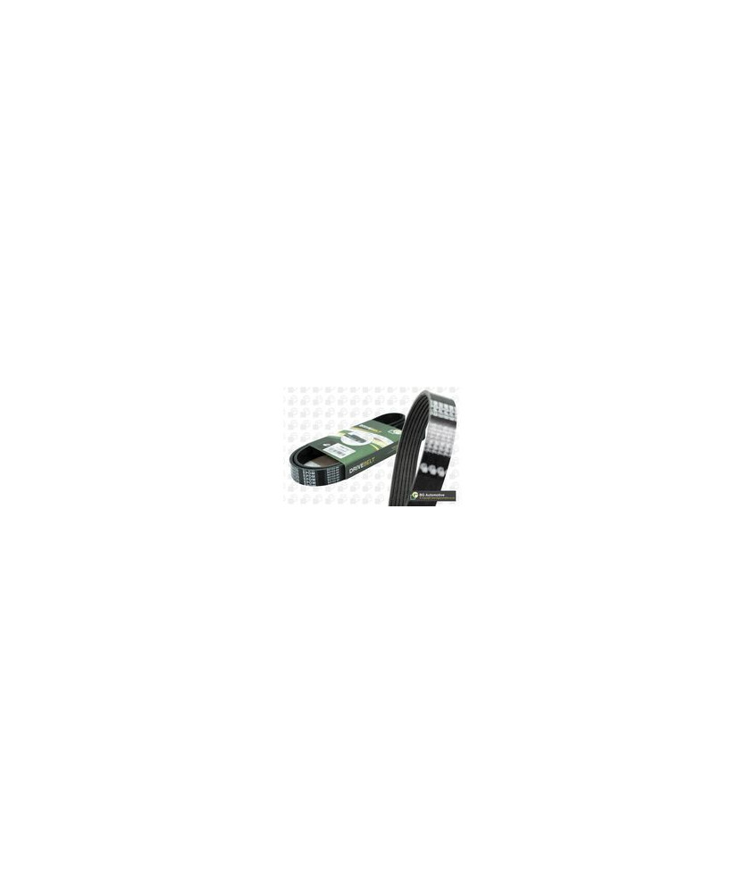 7 PK 1240 CINGHIA POLY-V 164 2.0 V6