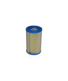 FILTRO ARIA APE POKER(BENZINA)