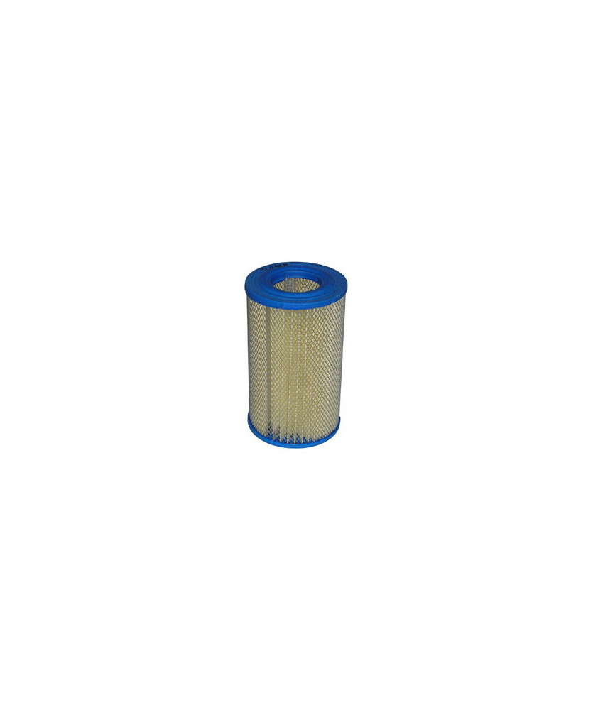 FILTRO ARIA APE POKER(BENZINA)