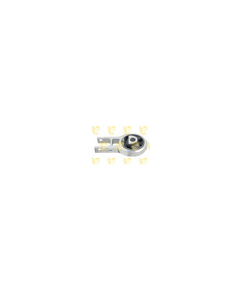 BIELLA MOT. TIPO II 1.6 D MJTD/1.4 120CV