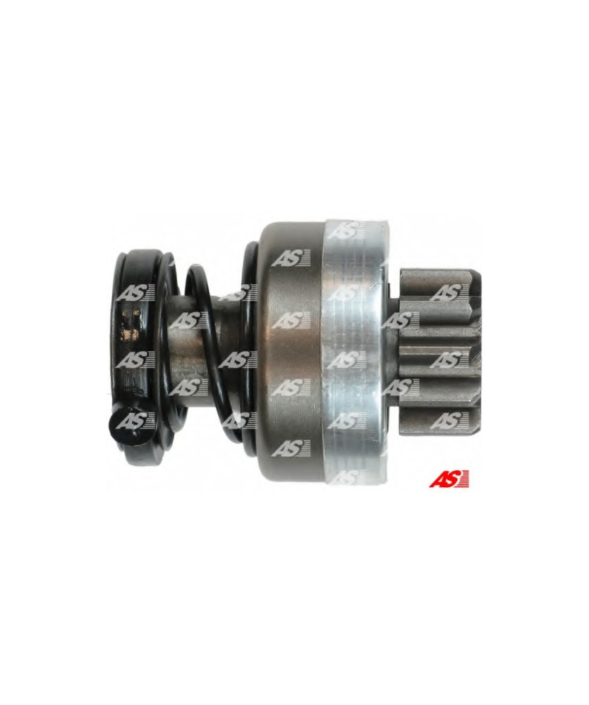 PIGNONE 10 DENTI