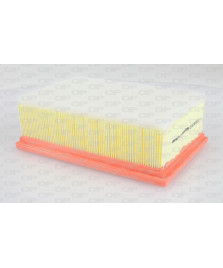 FILTRO ARIA 307 2.0-C4 2.0