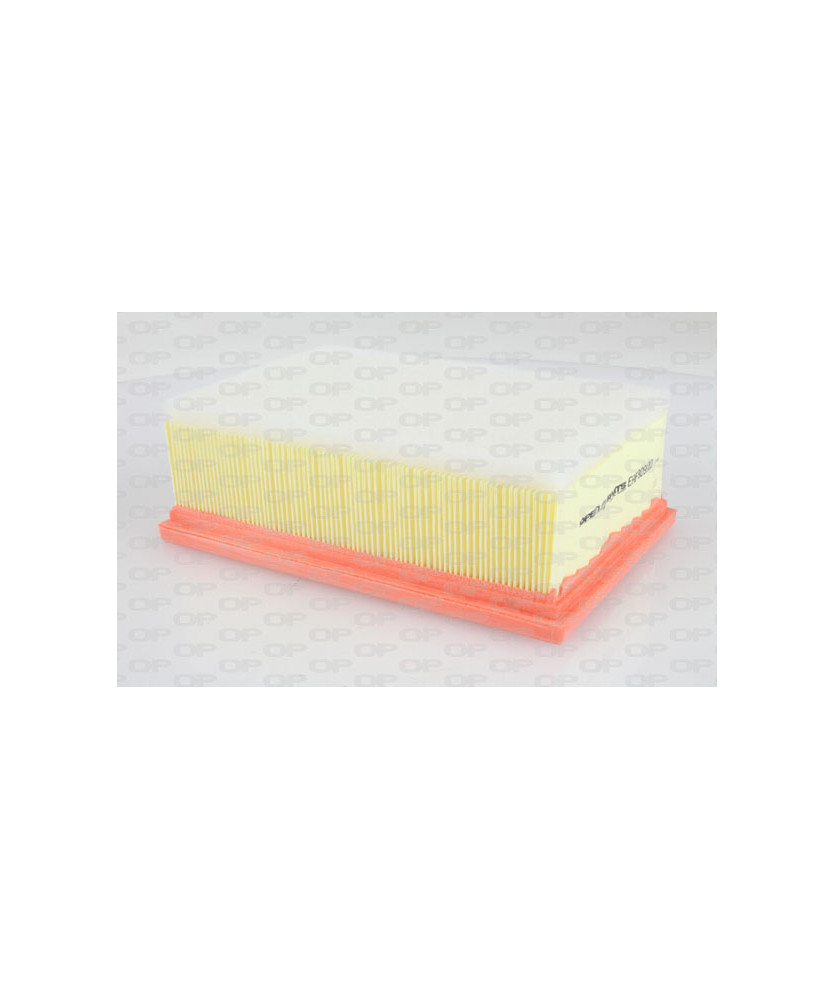 FILTRO ARIA 307 2.0-C4 2.0
