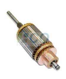 INDOTTO MOTORINO 1004003151