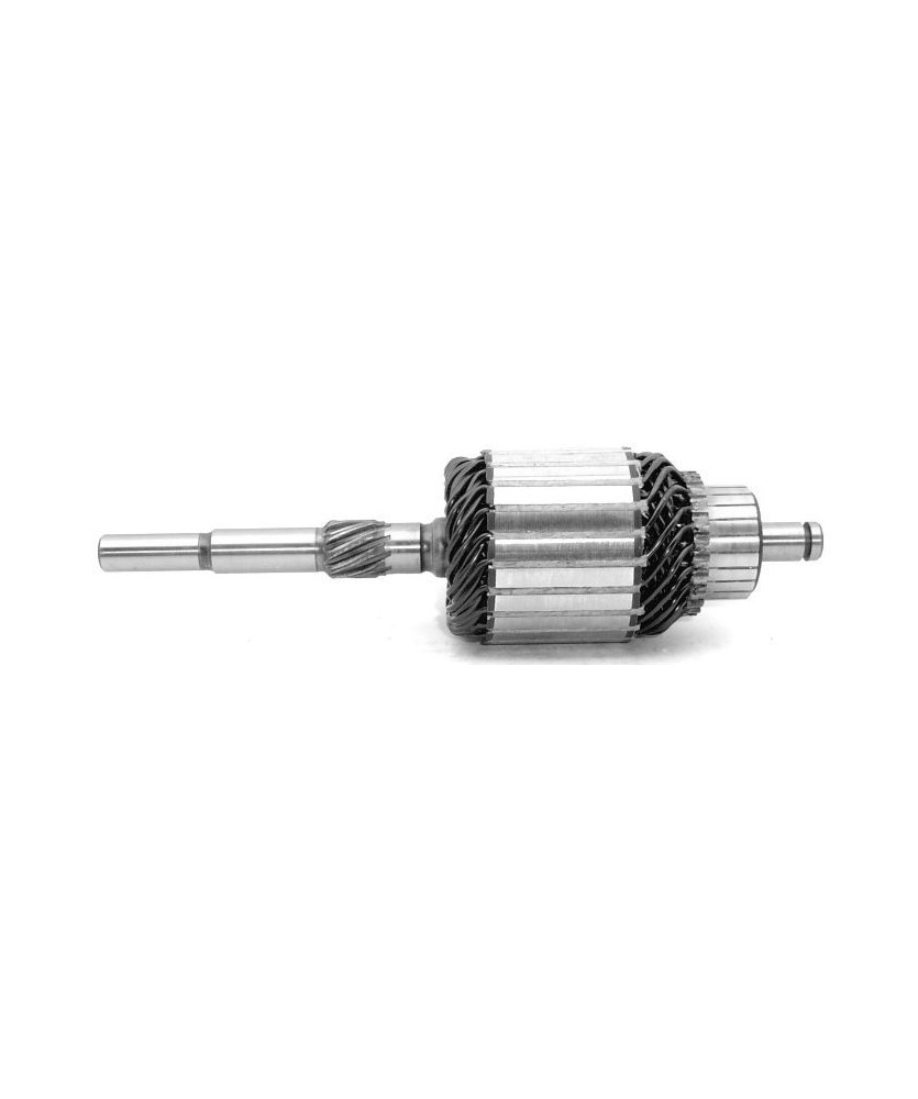 INDOTTO MOT.BOSCH 1004012924-926