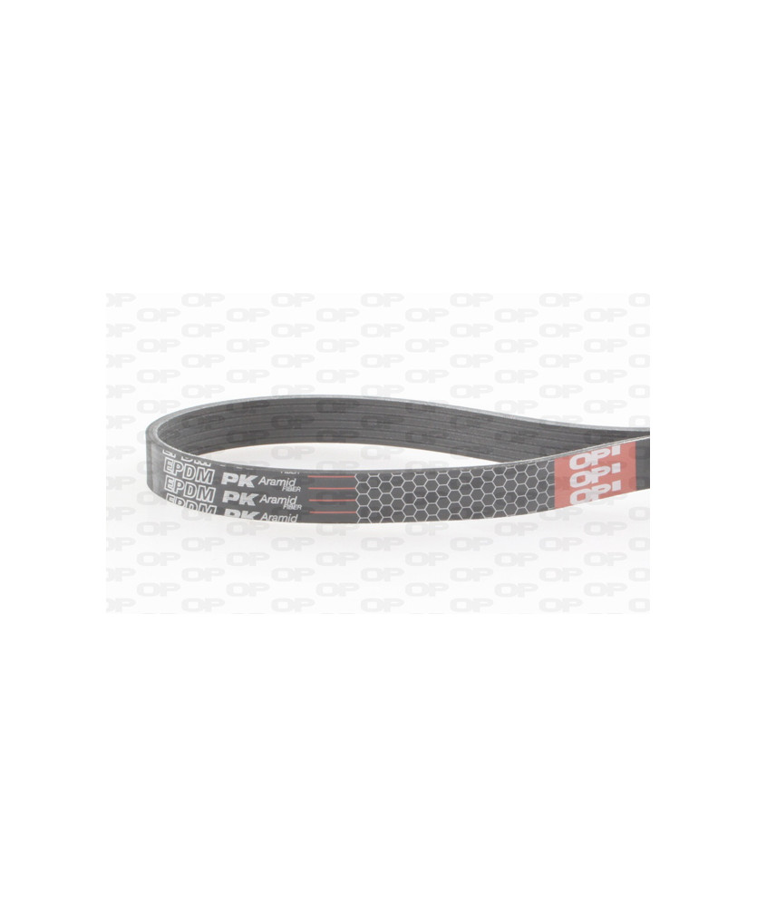 Cinghia Poly-V 5 PK 1745 DB A160 CDI